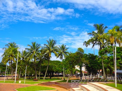 ヤシの木が並ぶココティエ広場の朝の風景