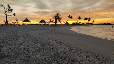 透明な海でサンゴ礁と熱帯魚を観察するシュノーケラー