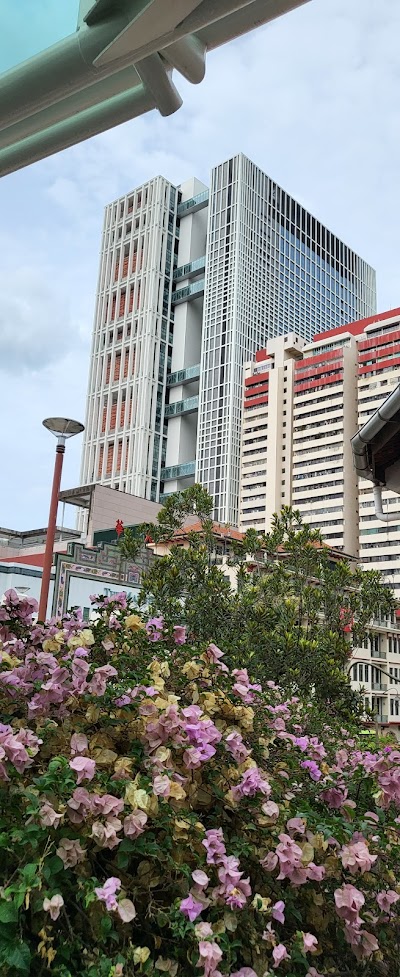 チャイナタウンのカラフルなショップハウス