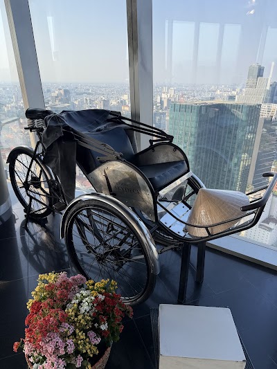 ビテクスコ・フィナンシャルタワーのスカイデッキからの眺め