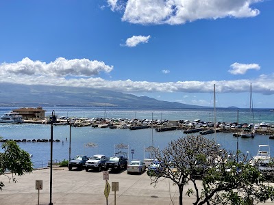 マアラエアハーバーの港とホエールウォッチング船