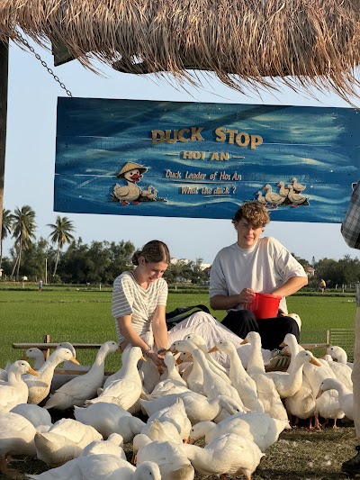 ホイアン旧市街のランタンと歴史的建物