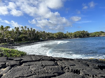 プナルウ黒砂海岸のウミガメと黒い砂浜
