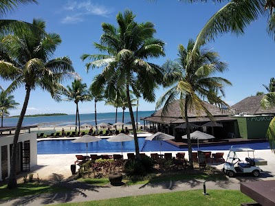 デナラウ島のビーチとヤシの木