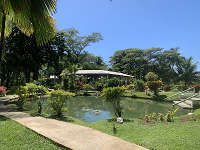 サベト泥温泉で泥パックを楽しむ観光客