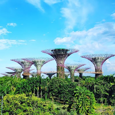 ガーデンズバイザベイのスーパーツリーと空中歩道