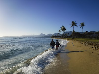 ノースショアのビッグウェーブとヤシの木が立ち並ぶ海岸線