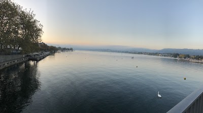 チューリッヒ湖畔の散歩道と白鳥