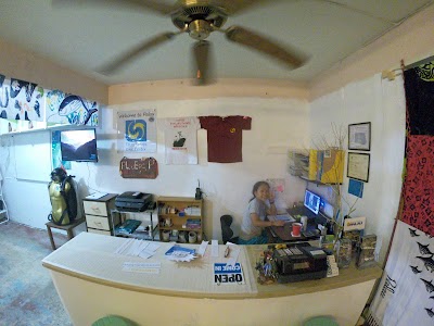 パラオの透明な海でサンゴ礁と熱帯魚を観察するシュノーケラー