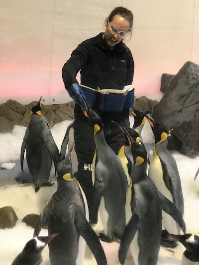 壁一面のグラフィティアートが並ぶホシアーレーン