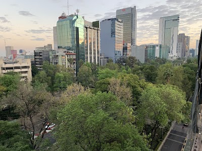 レフォルマ通りと独立記念塔（エル・アンヘル）