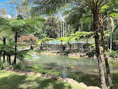 タンボリン・マウンテンのギャラリーウォーク