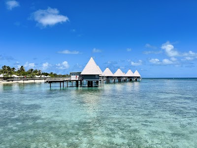 メトル島の透明な海とサンゴ礁