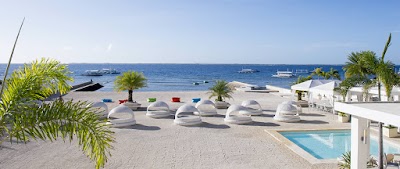 マクタン島のリゾートビーチとヤシの木