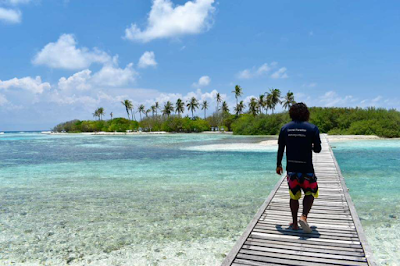 ボートの横を泳ぐイルカの群れと夕日