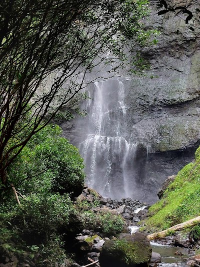 緑に囲まれたフォタナ渓谷のトレッキングコース