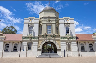 シドニー湾を背景にしたタロンガ動物園のコアラ展示