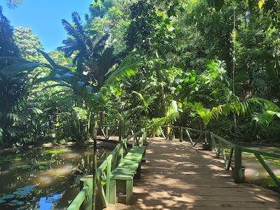眠れる巨人の庭園に咲くランの花々