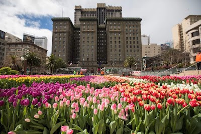 ユニオンスクエアの広場とショッピングストリート