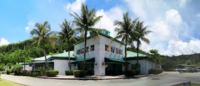 フィッシュアイ・マリンパークの海中展望塔から見る熱帯魚