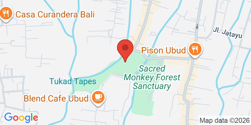 モンキーフォレストの地図