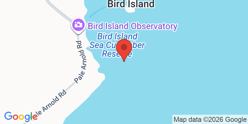 バードアイランド展望台の地図