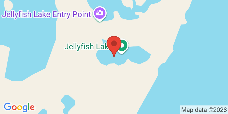 ジェリーフィッシュレイクの地図