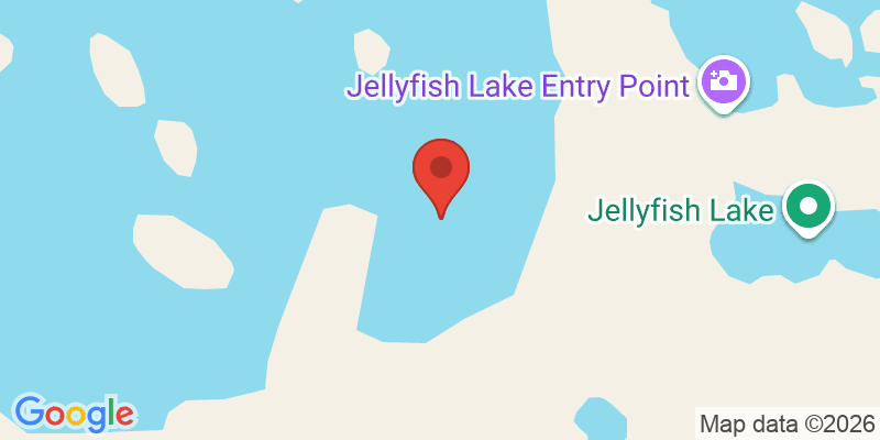 ロングビーチの地図